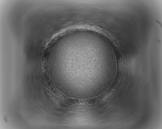 X0000101971494200807251159