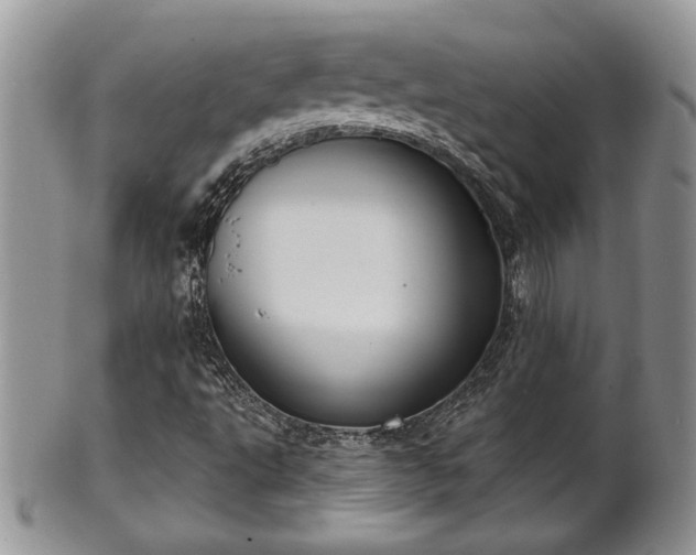X0000101971495200807251159