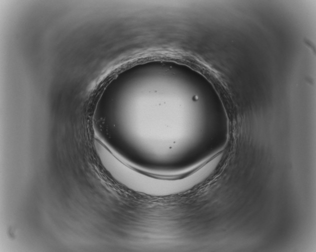 X0000101971496200807251159
