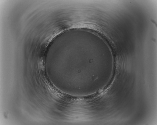 X0000101971497200807251159