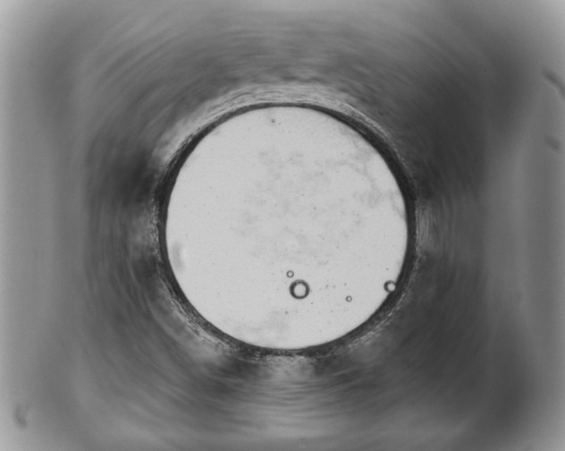 X0000101971498200807251159