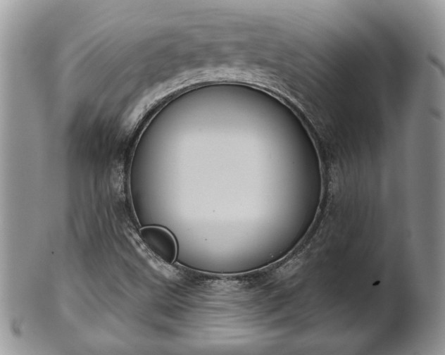 X0000101971499200807251159