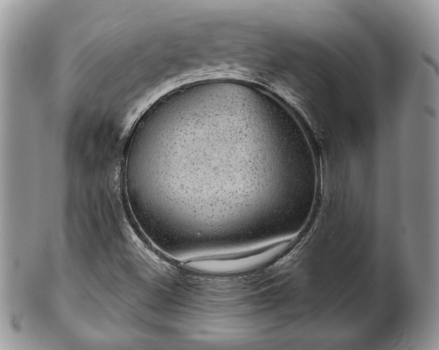 X0000101971500200807251159