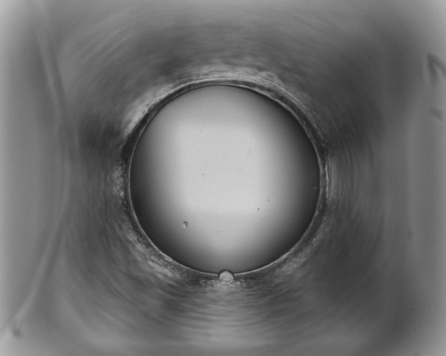 X0000101971501200807251159
