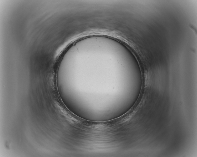 X0000101971502200807251159