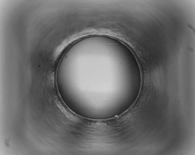 X0000101971503200807251159
