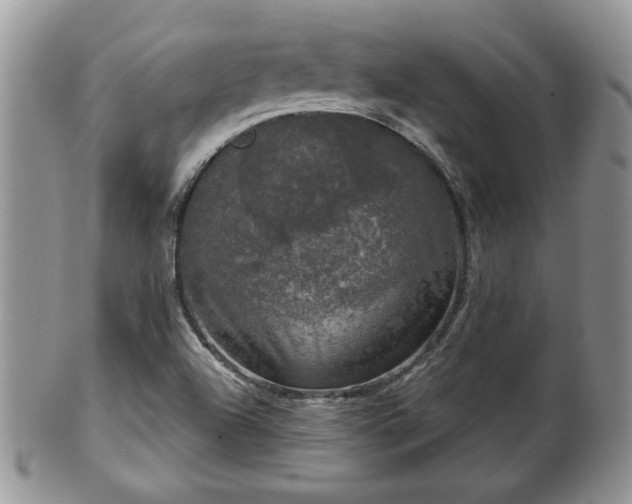 X0000101971504200807251159
