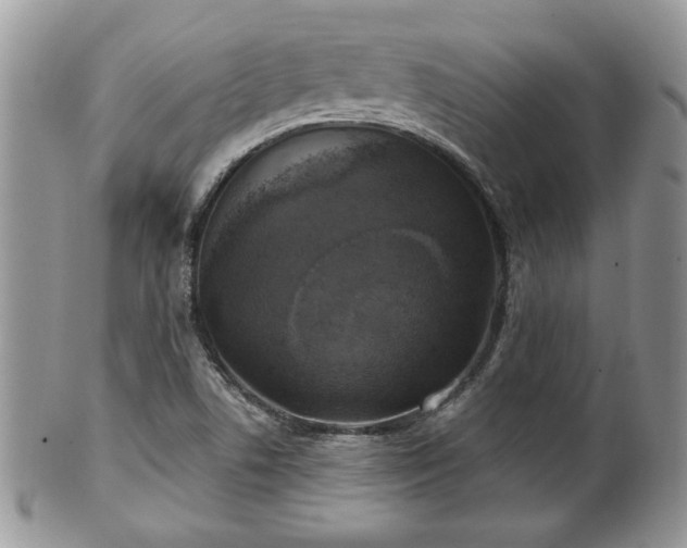 X0000101971506200807251159
