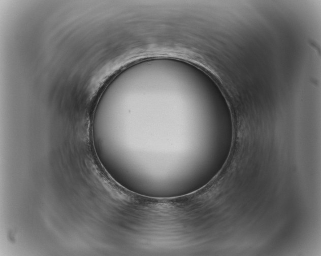 X0000101971507200807251159