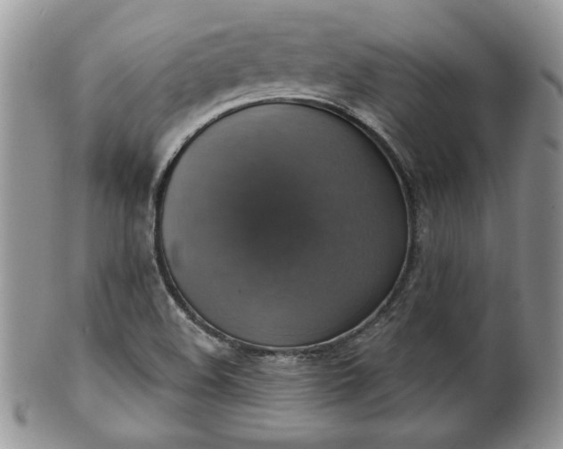 X0000101971508200807251159