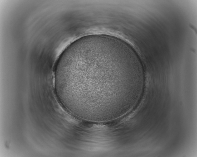 X0000101971509200807251159