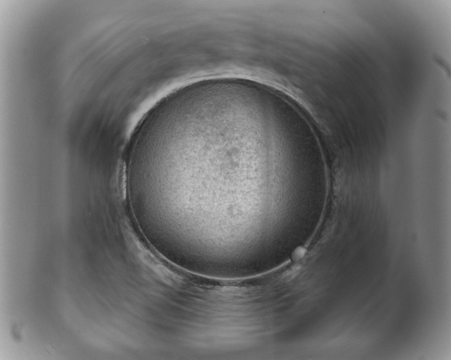 X0000101971510200807251159