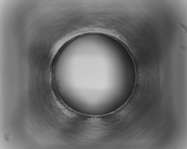 X0000101971511200807251159