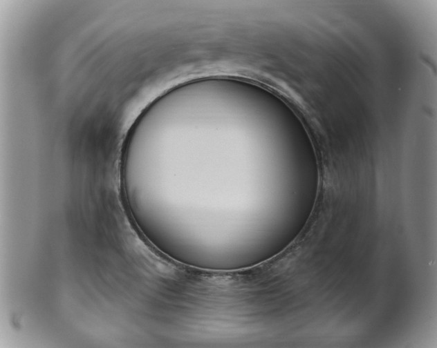 X0000101971512200807251159