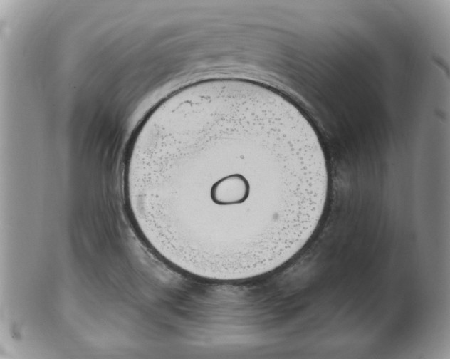 X0000101971514200807251159