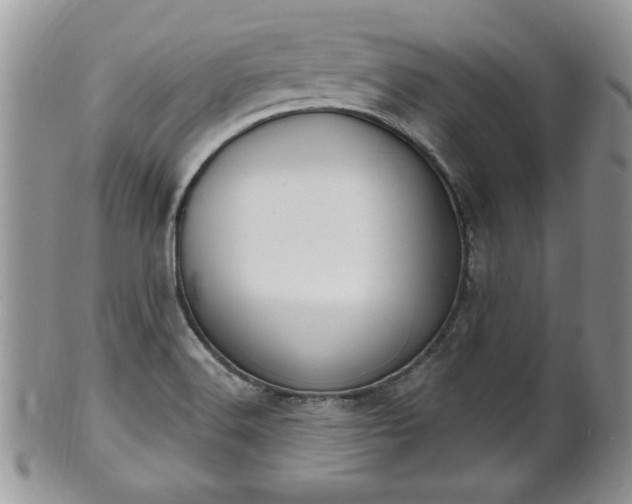 X0000101971516200807251159