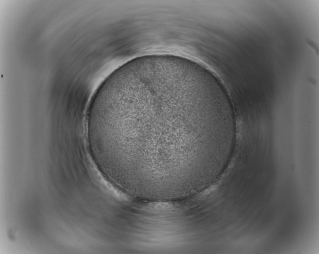 X0000101971517200807251159