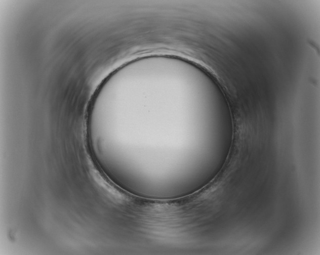 X0000101971518200807251159