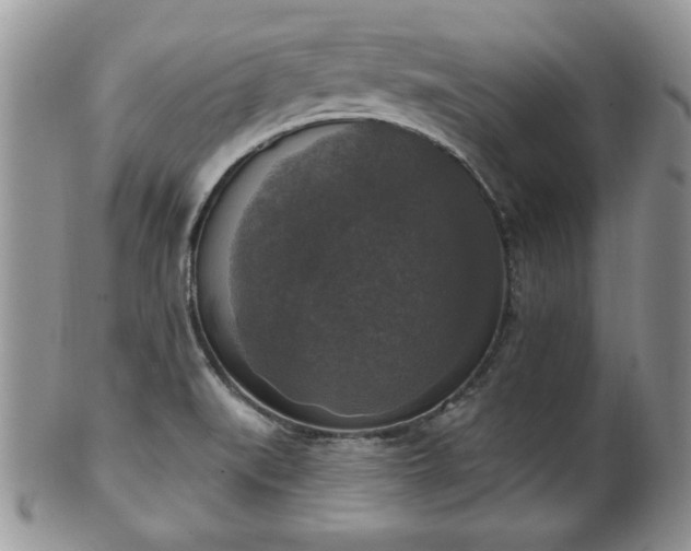 X0000101971519200807251159