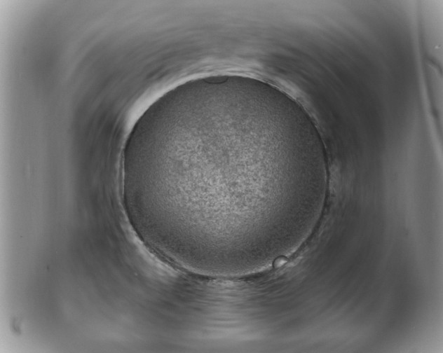 X0000101971520200807251159