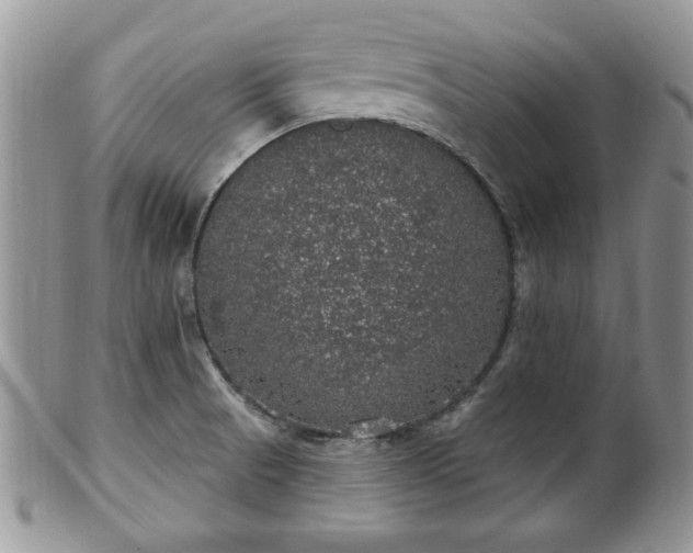 X0000101971521200807251159