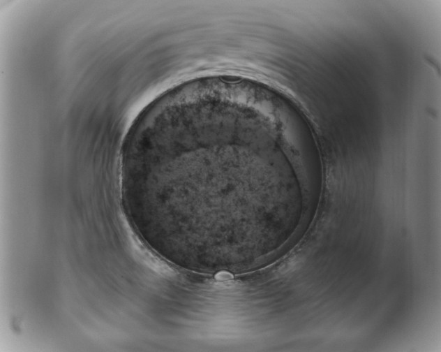 X0000101971522200807251159
