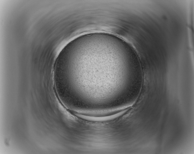 X0000101971524200807251159