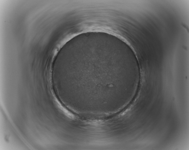 X0000101971525200807251159