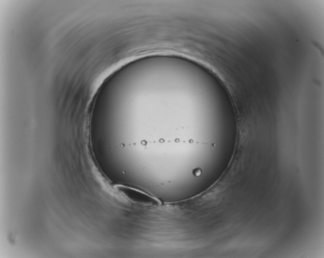 X0000101971526200807251159