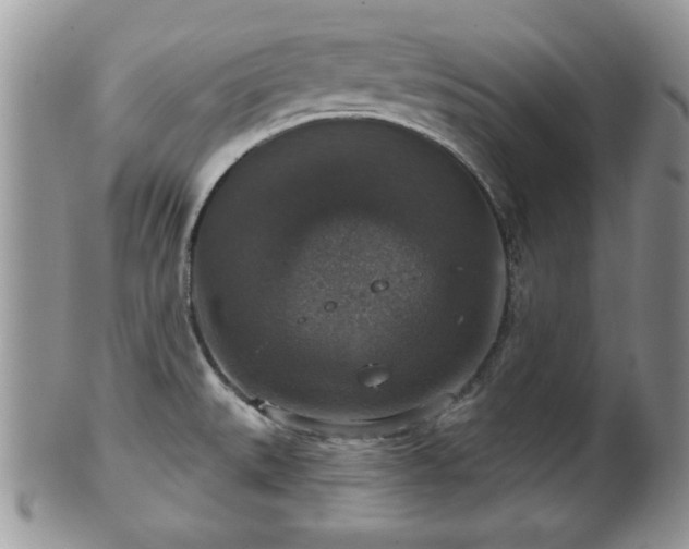 X0000101971527200807251159