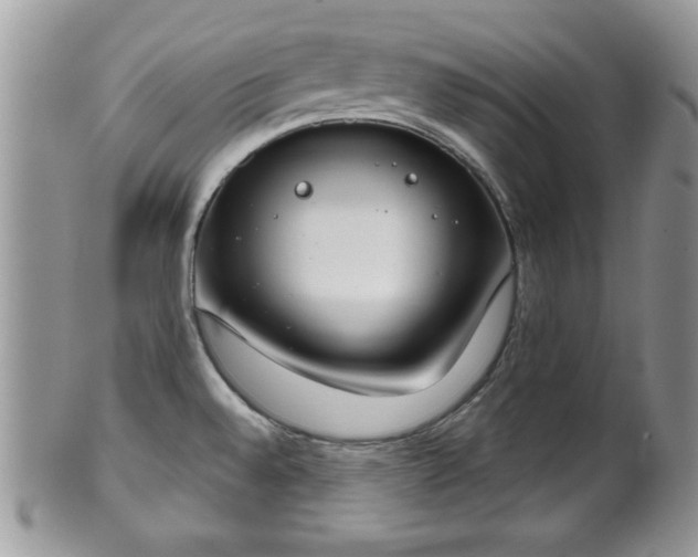 X0000101971528200807251159