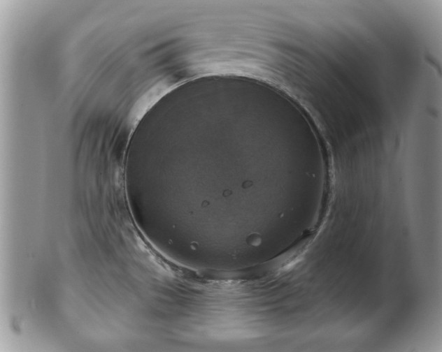 X0000101971529200807251159