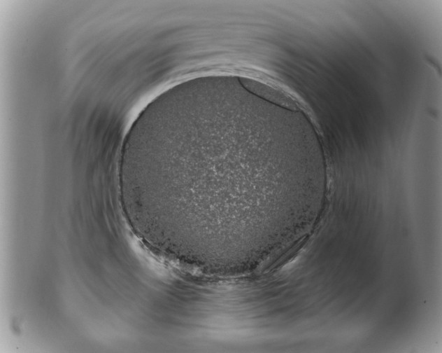 X0000101971530200807251159