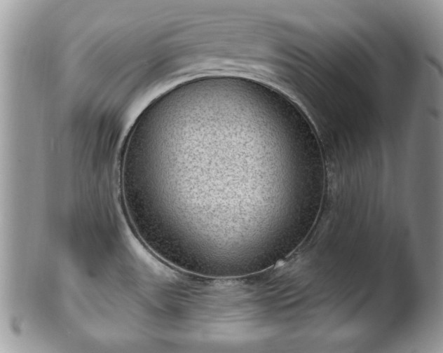 X0000101971531200807251159