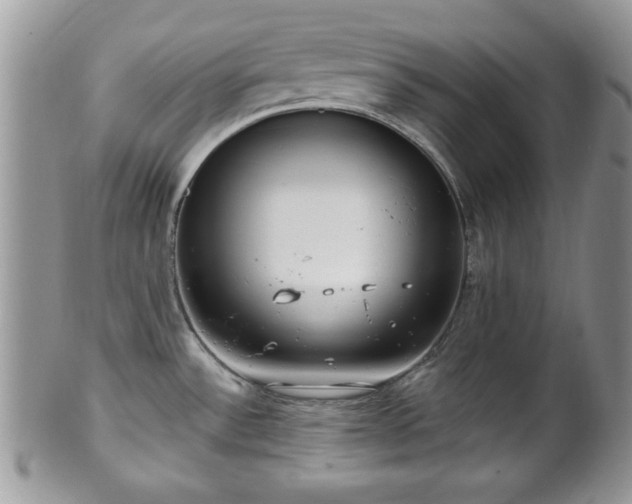 X0000101971532200807251159