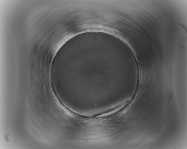X0000101971533200807251159