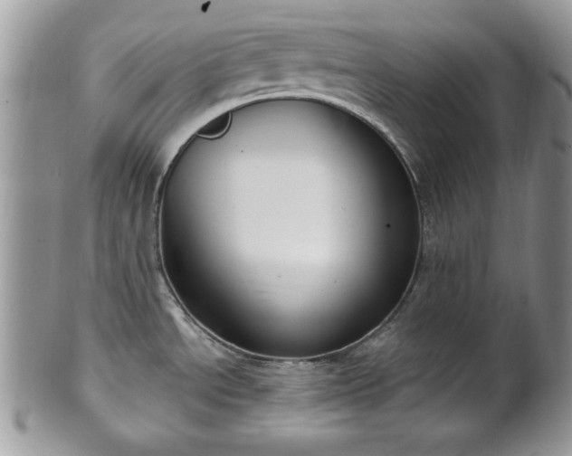 X0000101971534200807251159