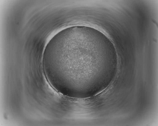 X0000101971536200807251159