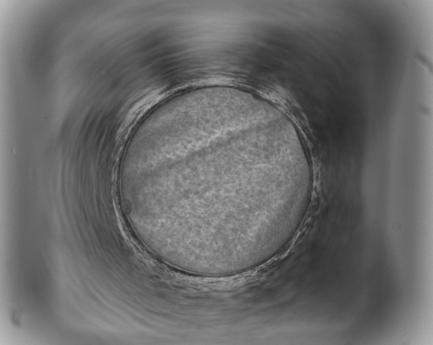 X0000101970001200808011141
