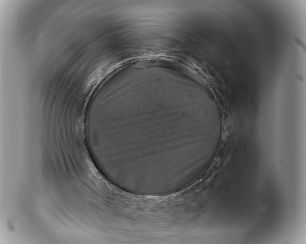X0000101970002200808011141