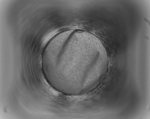 X0000101970005200808011141