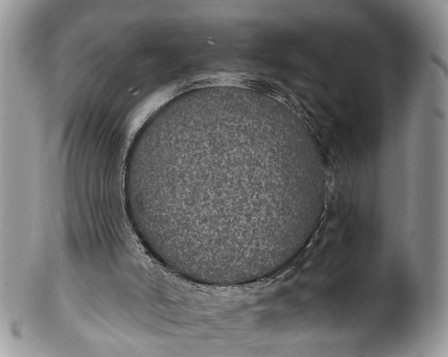 X0000101970006200808011141