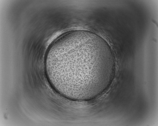 X0000101970008200808011141