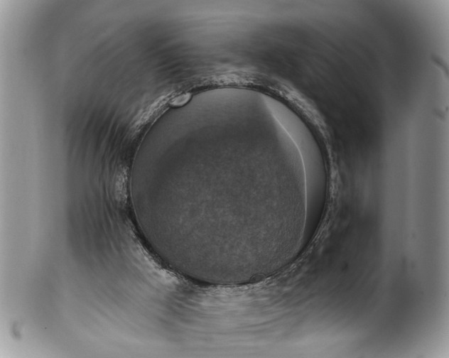 X0000101970009200808011141