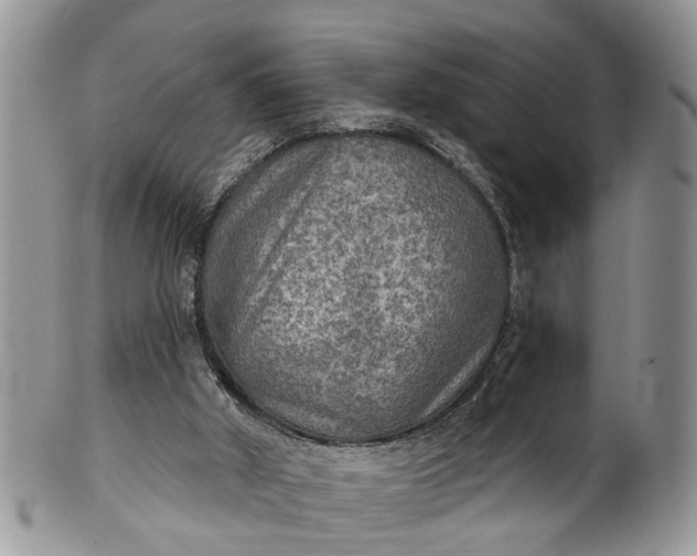X0000101970010200808011141