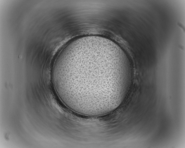 X0000101970012200808011141