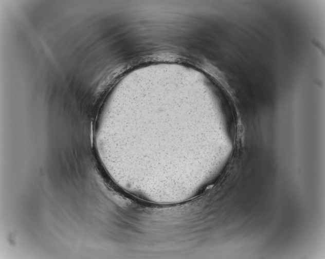 X0000101970013200808011141