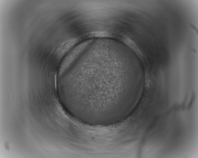 X0000101970014200808011141