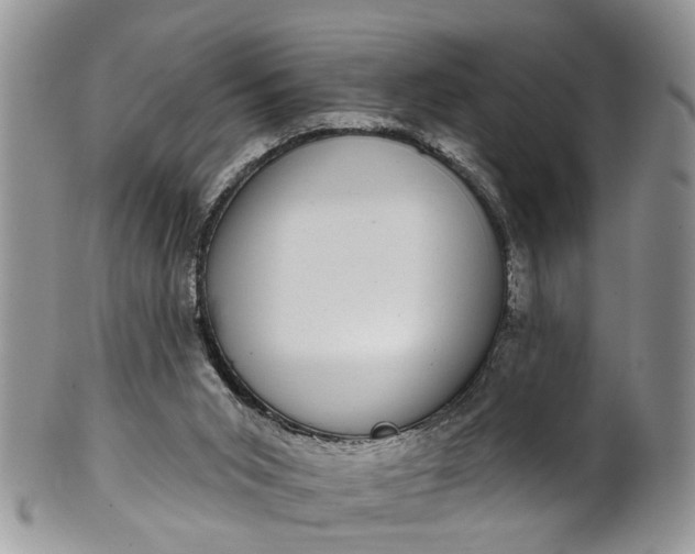 X0000101970015200808011141