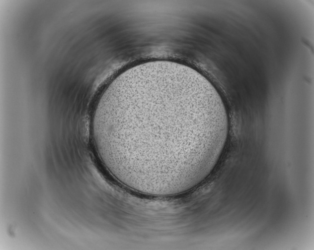 X0000101970016200808011141